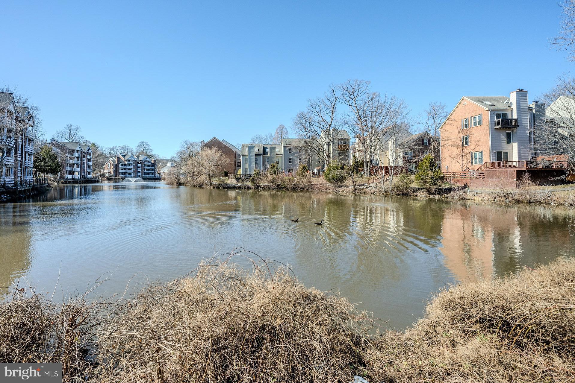 THE COVE - Residential