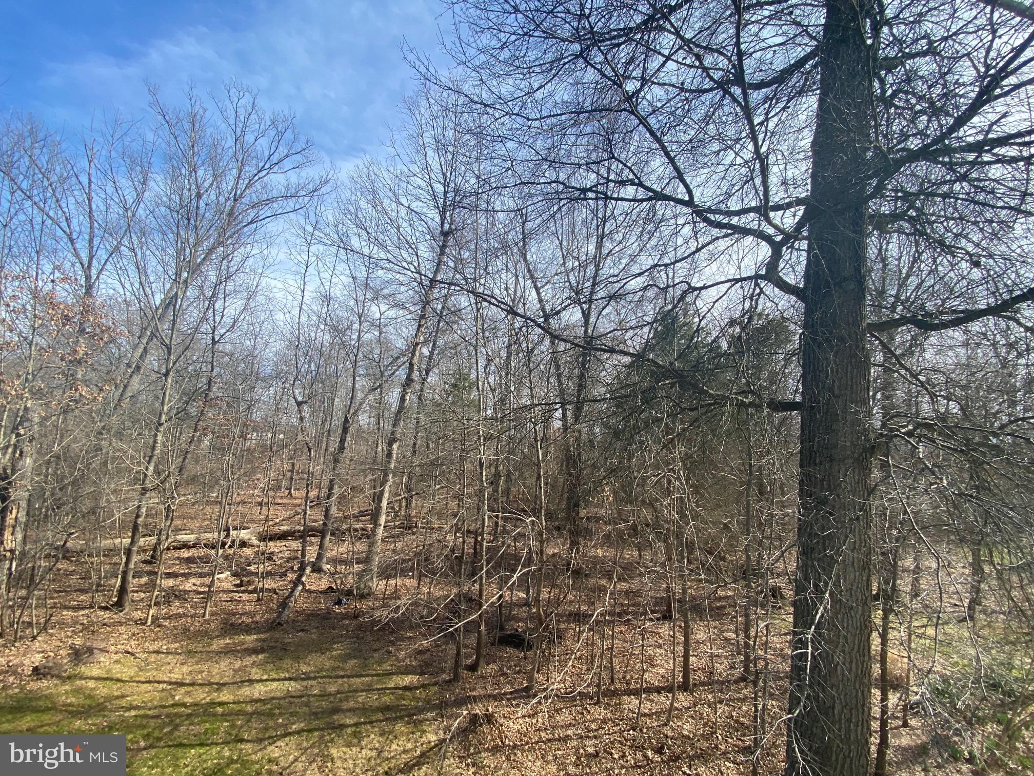 ASHBURN VILLAGE - Residential