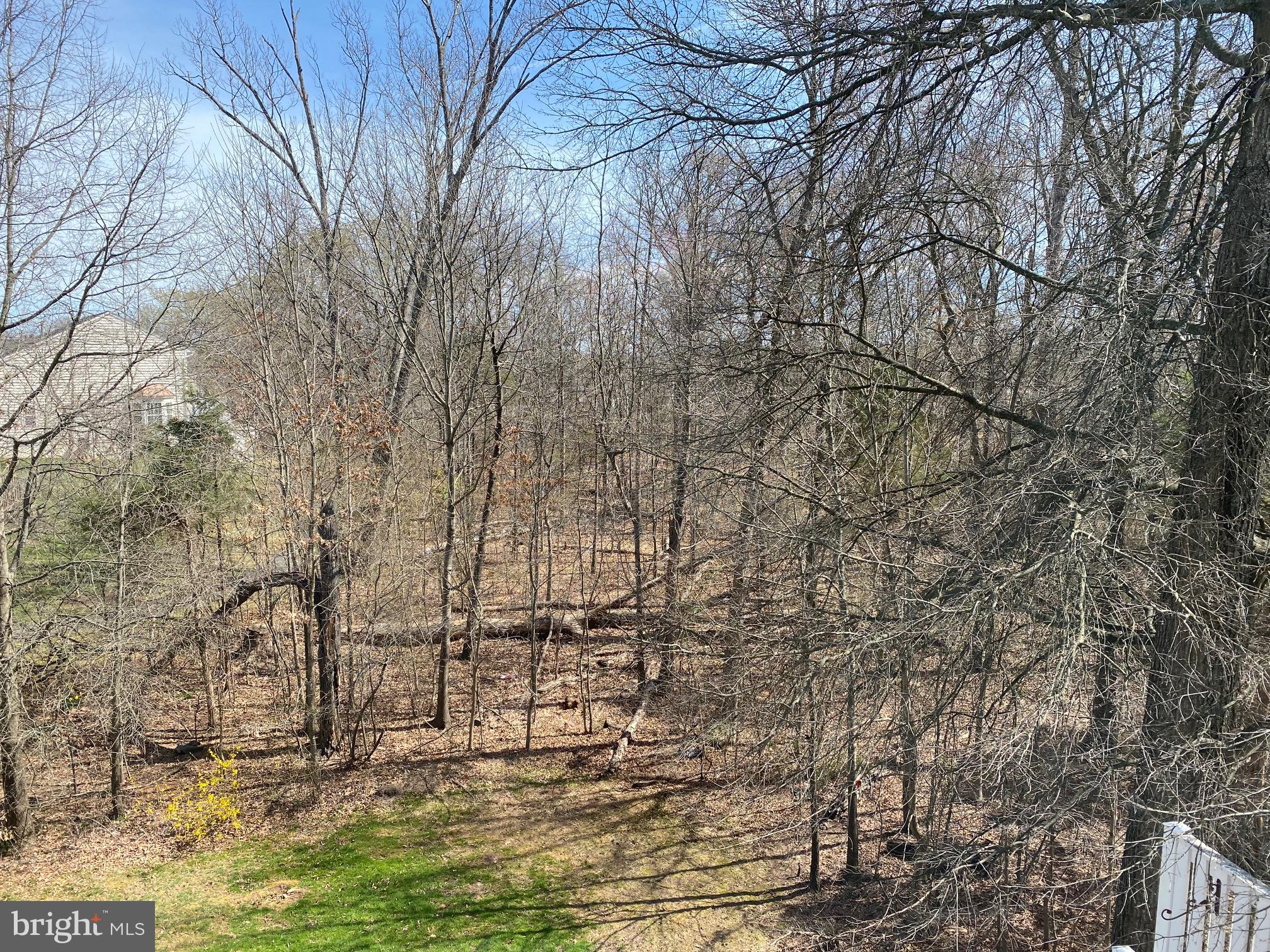 ASHBURN VILLAGE - Residential