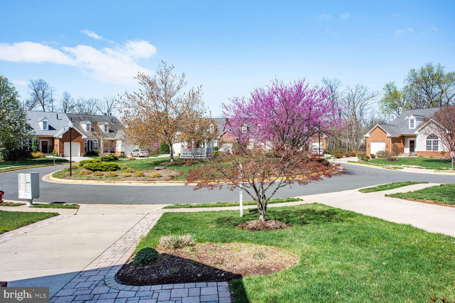 ASHBURN VILLAGE - Residential