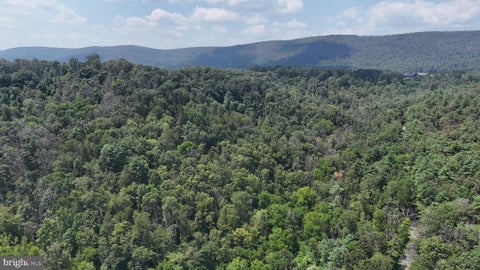 Photo for SHADE HOLLOW ROAD