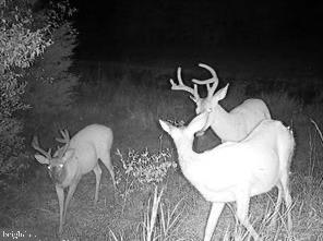 FRITZ FARM - Commercial Sale