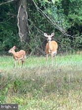 FRITZ FARM - Commercial Sale