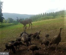 FRITZ FARM - Commercial Sale