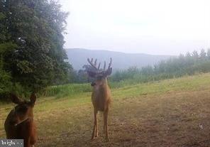 FRITZ FARM - Commercial Sale