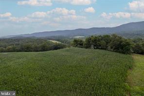 FRITZ FARM - Commercial Sale