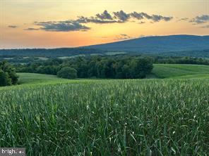 FRITZ FARM - Commercial Sale