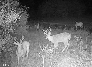 FRITZ FARM - Commercial Sale