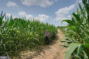 FRITZ FARM - Commercial Sale