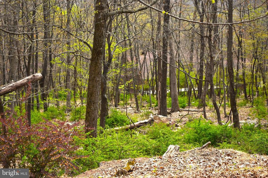 Beautiful, serene, wooded lot on 2.444 acres perfect for building that mountain getaway you’ve always dreamed of! Perced for 3-bedroom home. Well-maintained roads. Located in gated community of Somerset in Paw Paw, WV. Annual memberships are available for access to adjacent year-round Avalon Resort, which features vacation condos, cabins, an aquatics center, as well as camping, tennis and hiking trails. Just two hours from DC area, 40 minutes from fabulous shopping and restaurants in Winchester, VA, and 30 minutes to the spas, shops, and restaurants of historic Berkeley Springs, WV. Come check out this unique property on Merlin Tor Drive and find out precisely why West Virginia is considered "Almost Heaven."