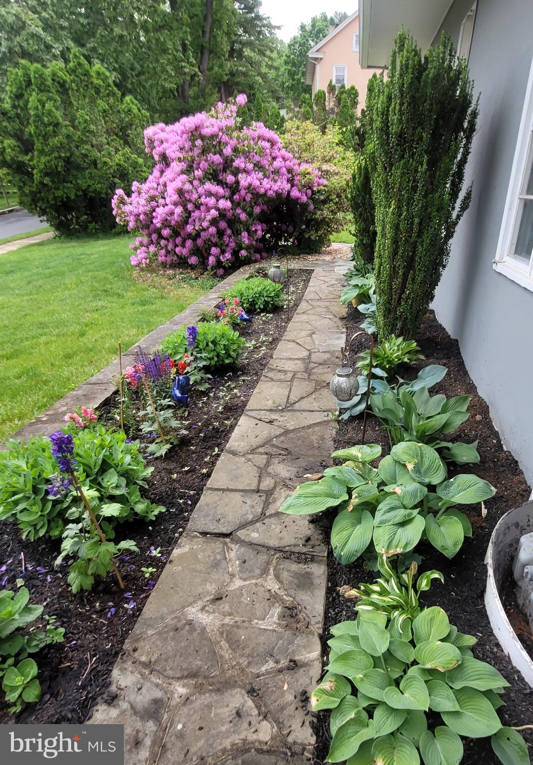 WYOMISSING HILLS - Residential