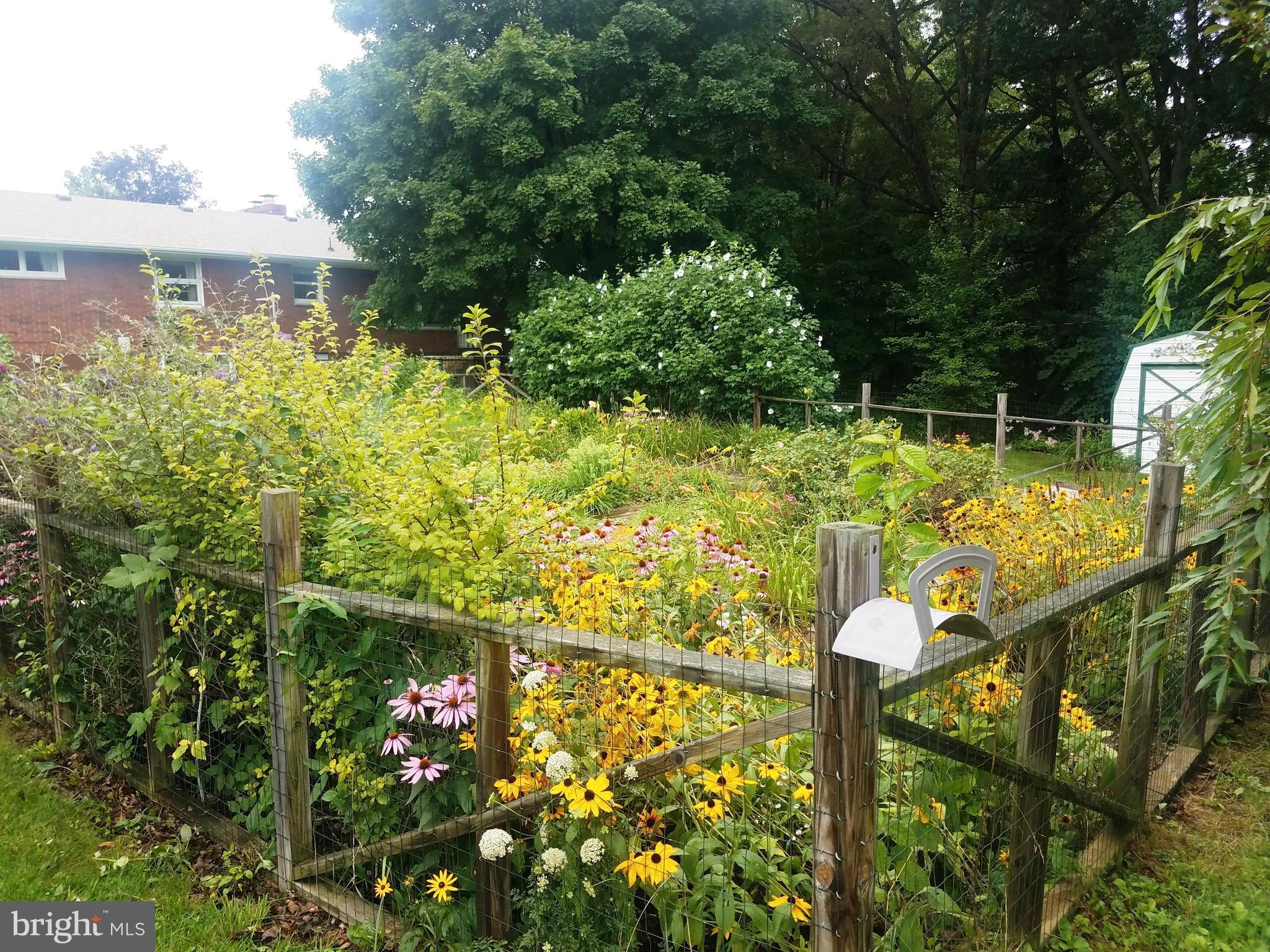 SHORT GAP - Residential