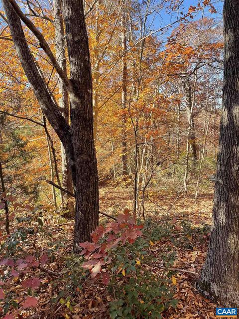 Vacant Land For Sale - 19 Chickasaw Pl<br/> PALMYRA, VA 22963