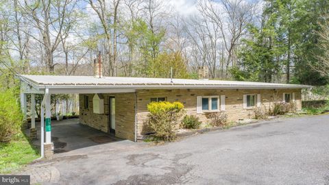 1321 MARSH HILL ROAD MC HENRY MD 21541