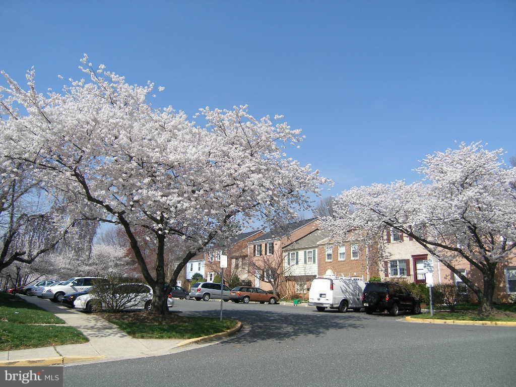 SHADY GROVE VILLAGE - Residential Lease