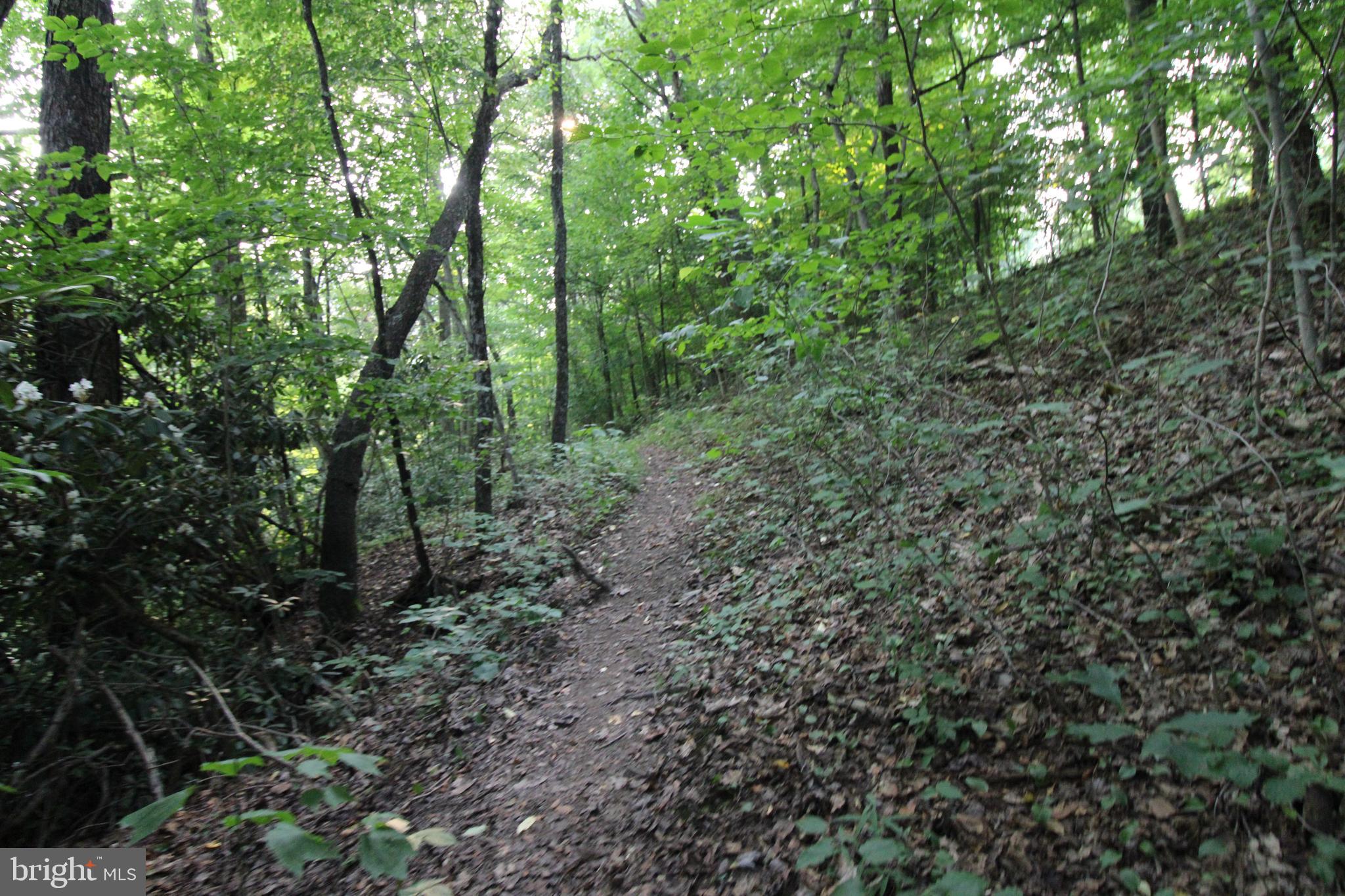 TIMBER TRAILS - Residential