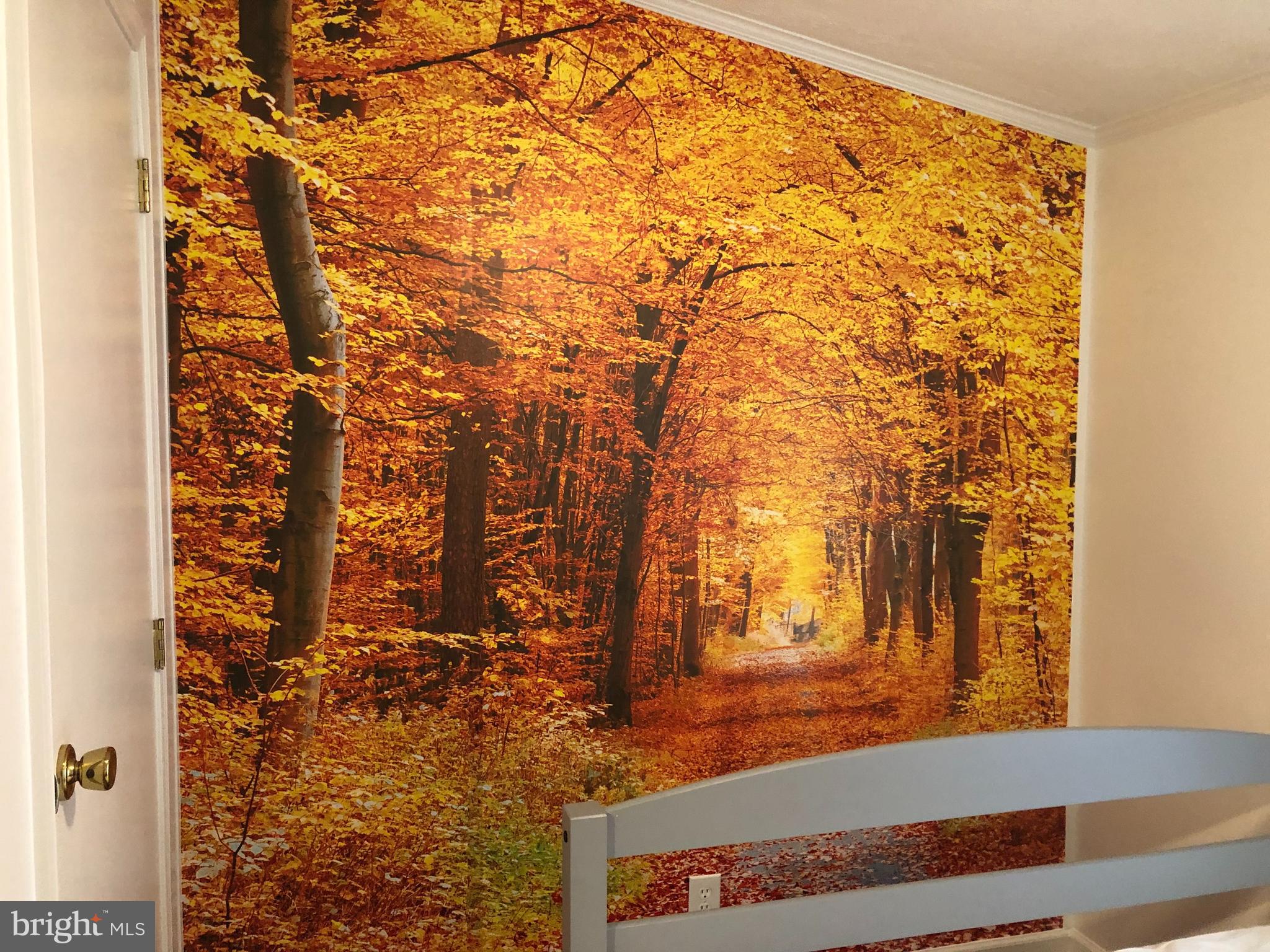 TIMBER TRAILS - Residential