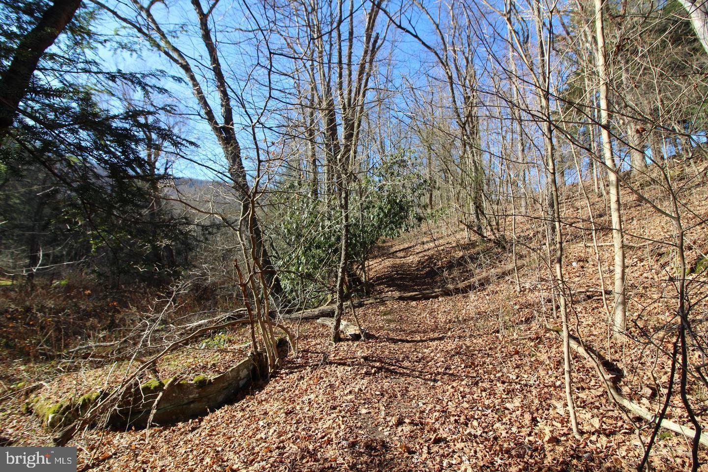 TIMBER TRAILS - Residential