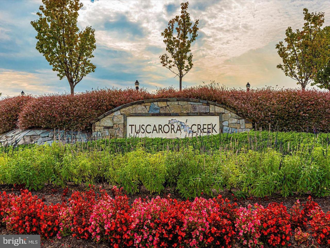 THE PRESERVE AT TUSCARORA - Residential Lease