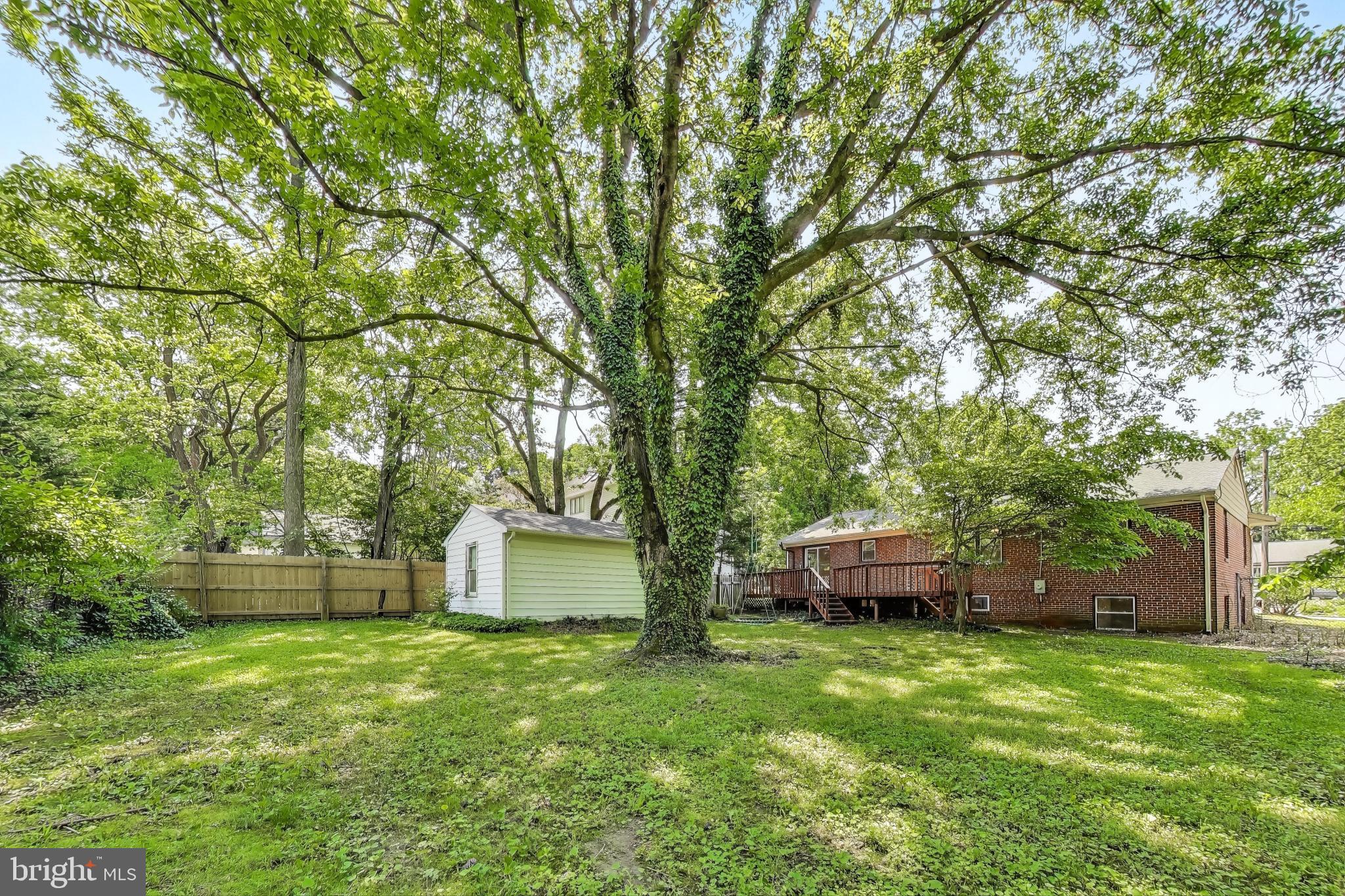 KENSINGTON HEIGHTS - Residential Lease