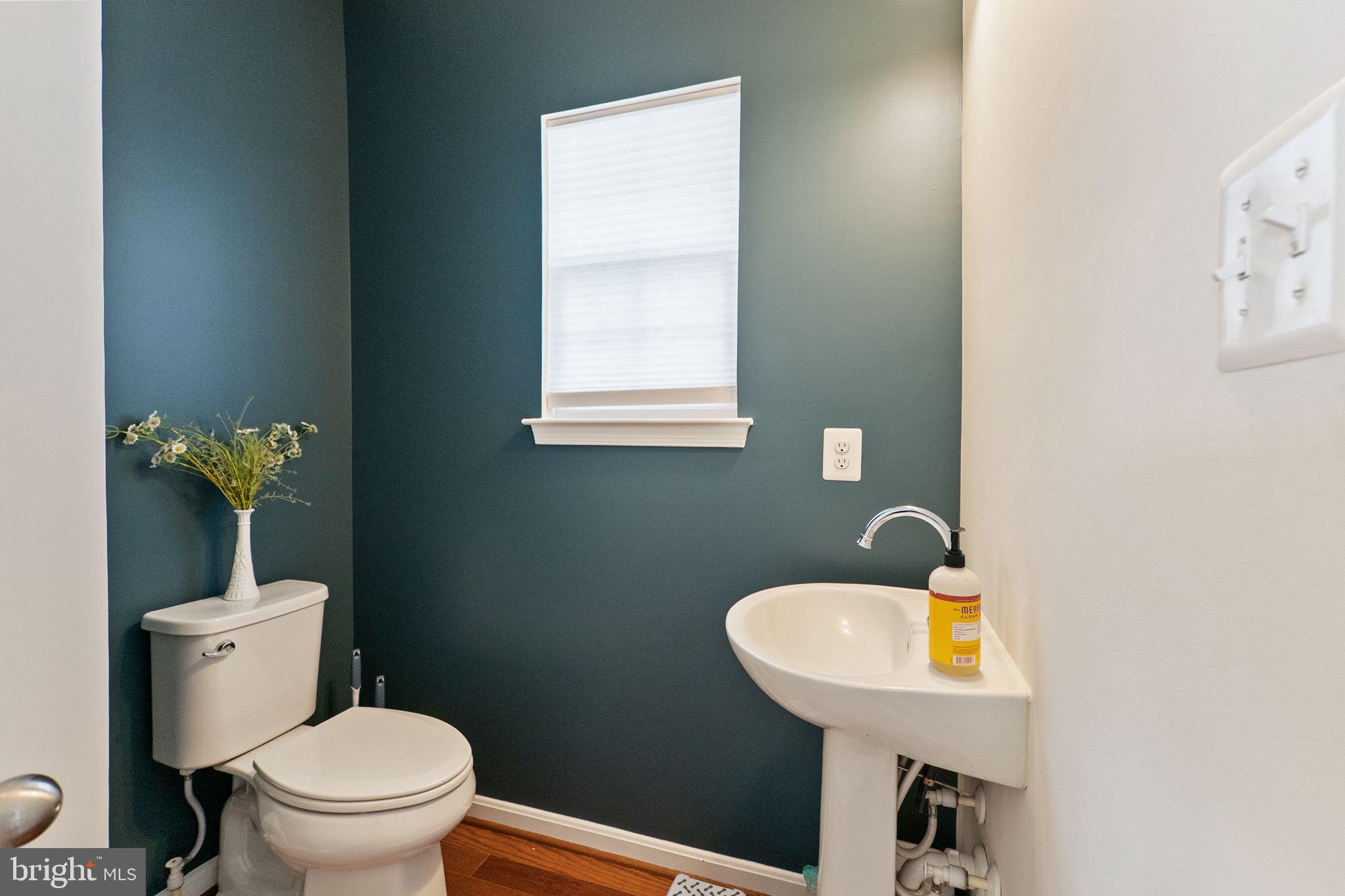 SHENANDOAH SPRINGS - Residential