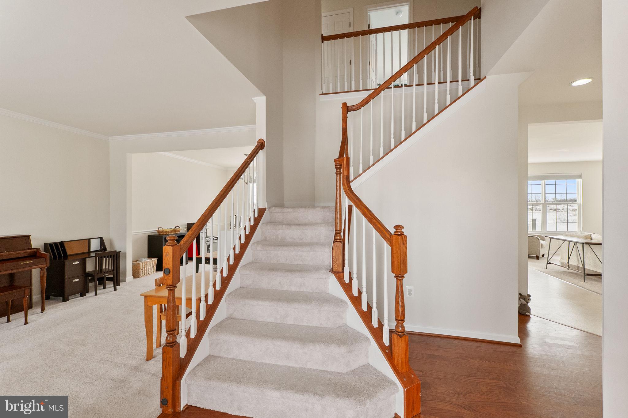 SHENANDOAH SPRINGS - Residential