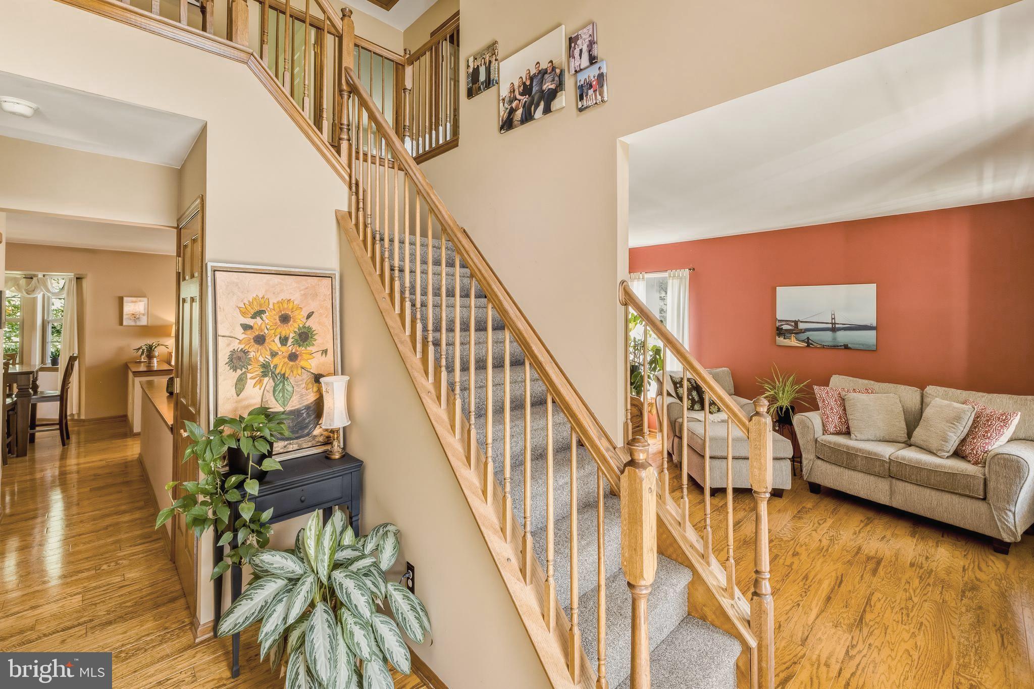 28 SUSIES HOLLOW