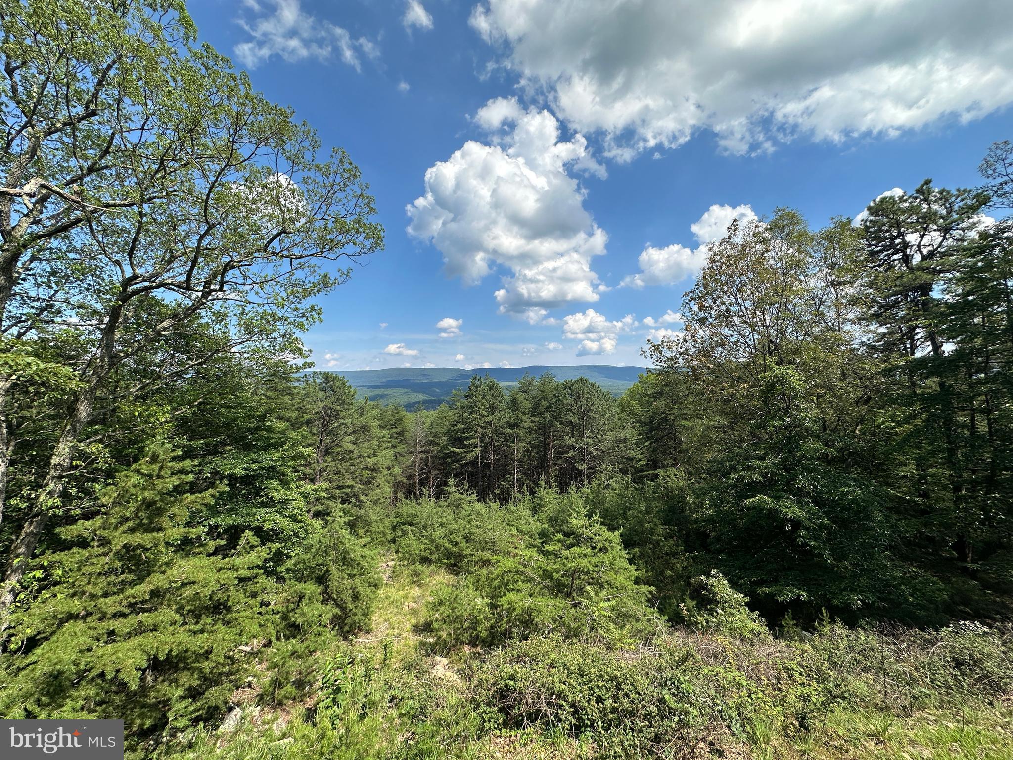 RIVER RIDGE - Residential