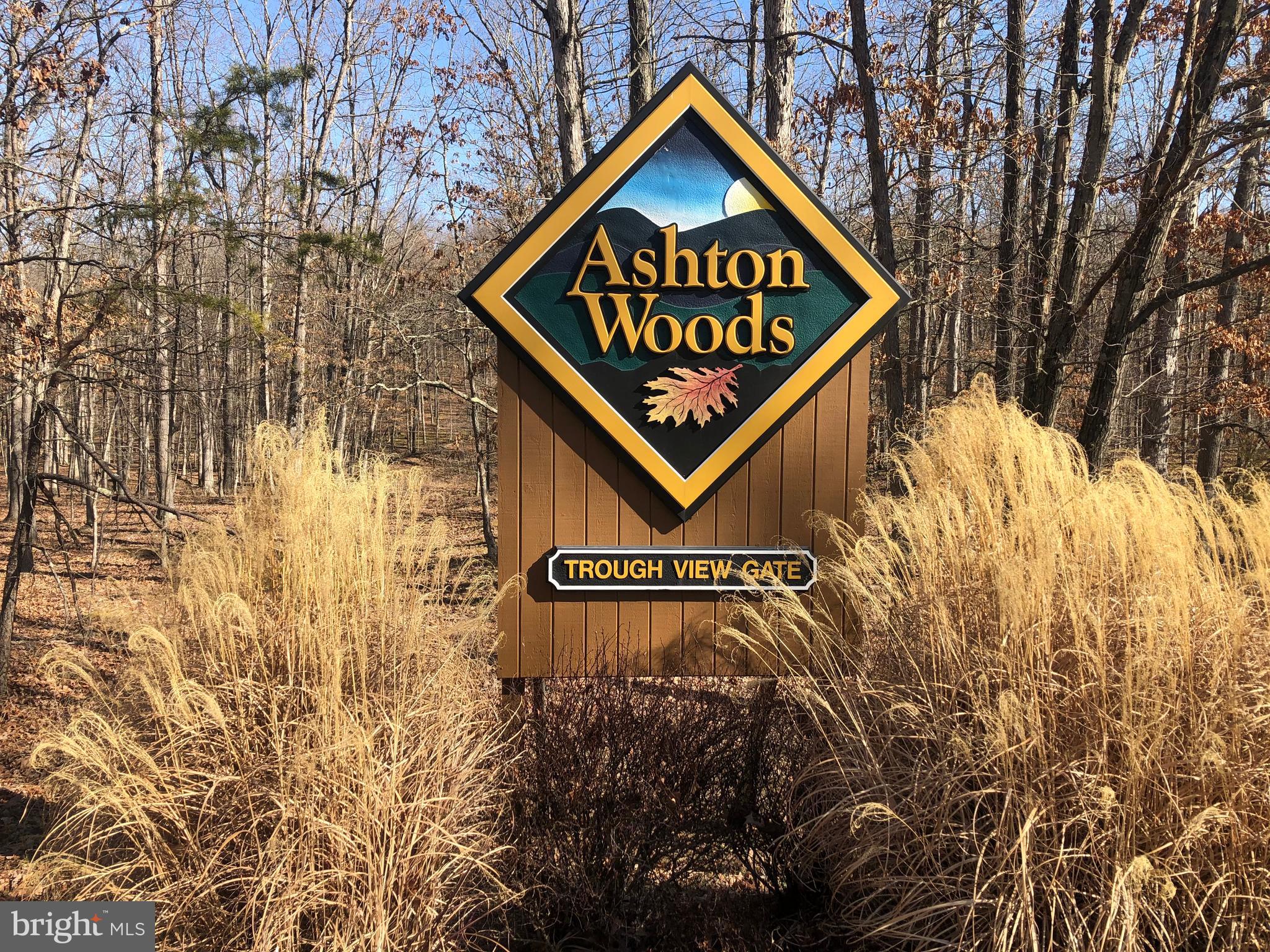 ASHTON WOODS - Land