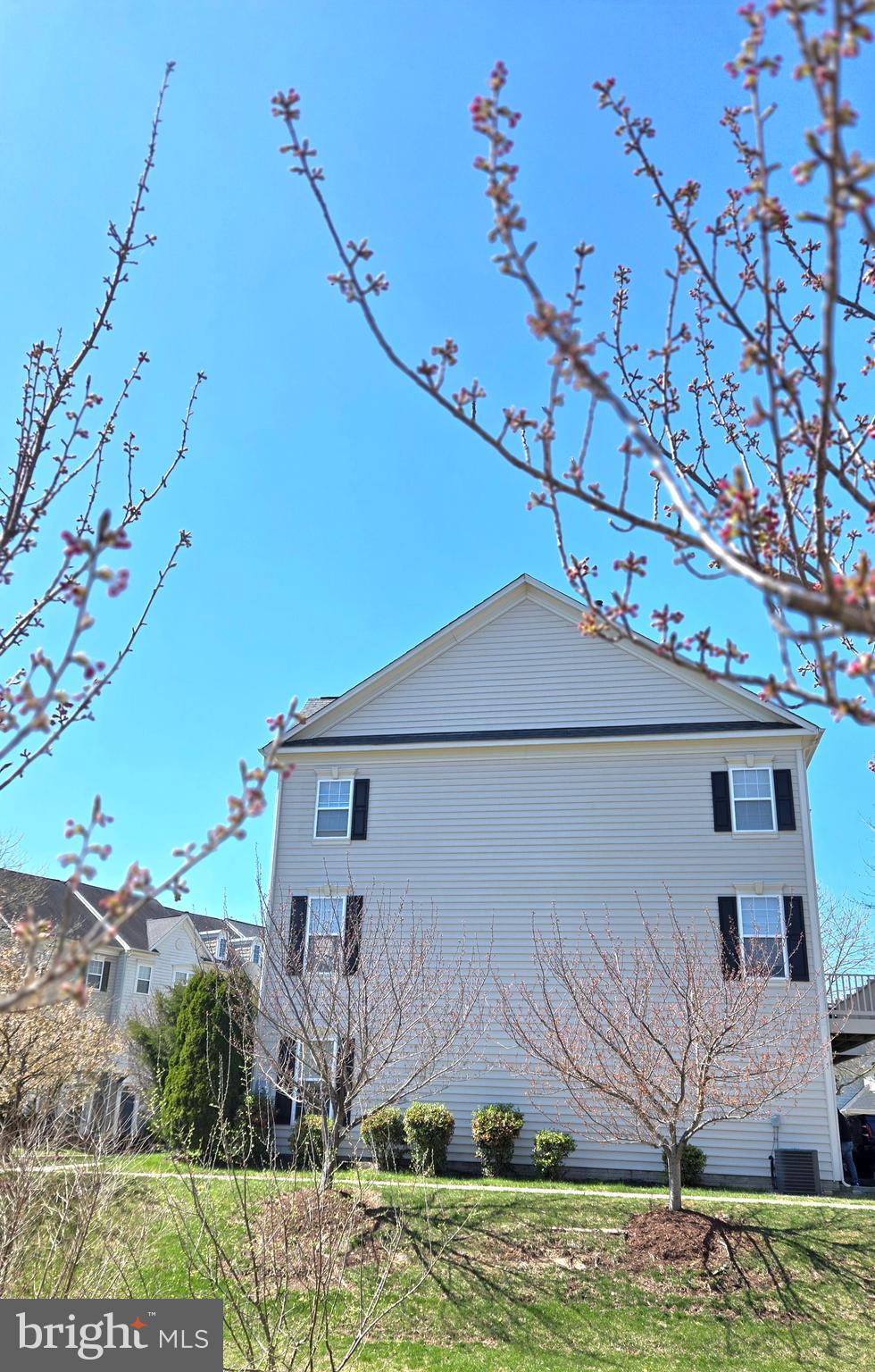 BELMONT BAY - Residential