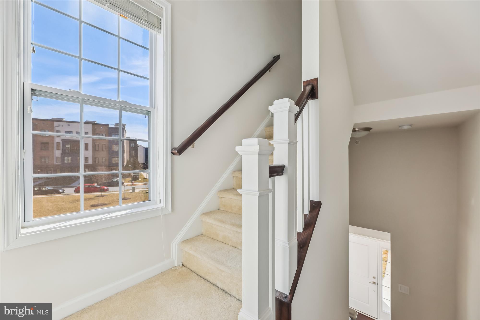 THE BUCKINGHAM AT LOUDOUN VALLEY - Residential