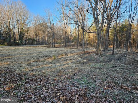 Vacant Land For Sale - Physic Spring Road<br/> DILLWYN, VA 23936