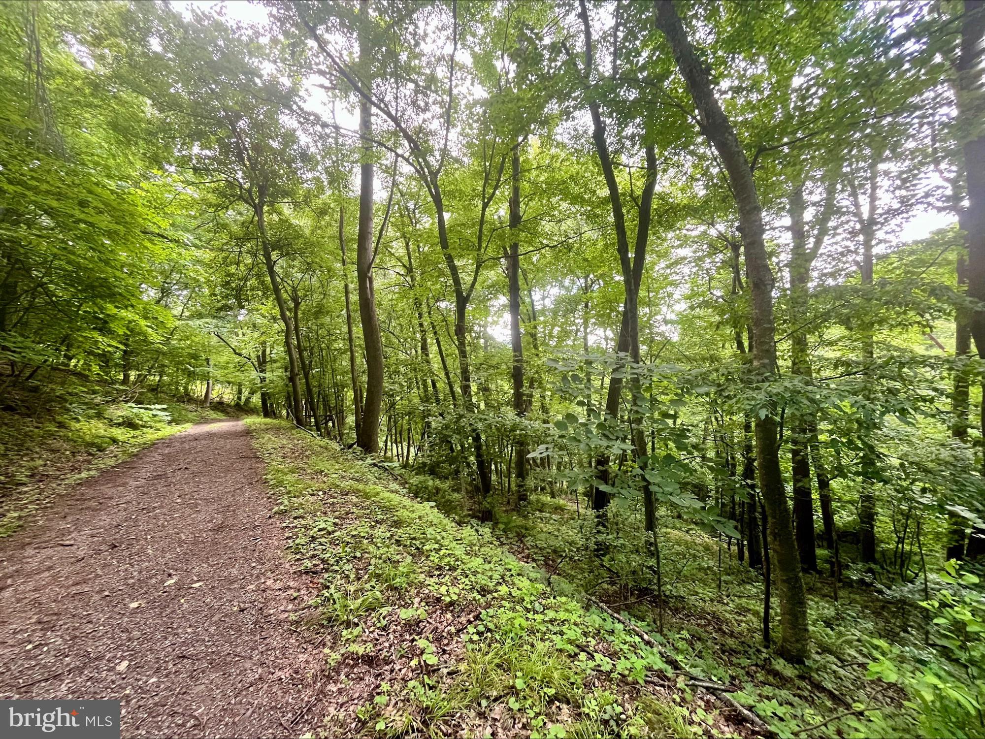 SKYLINE LAKES - Land