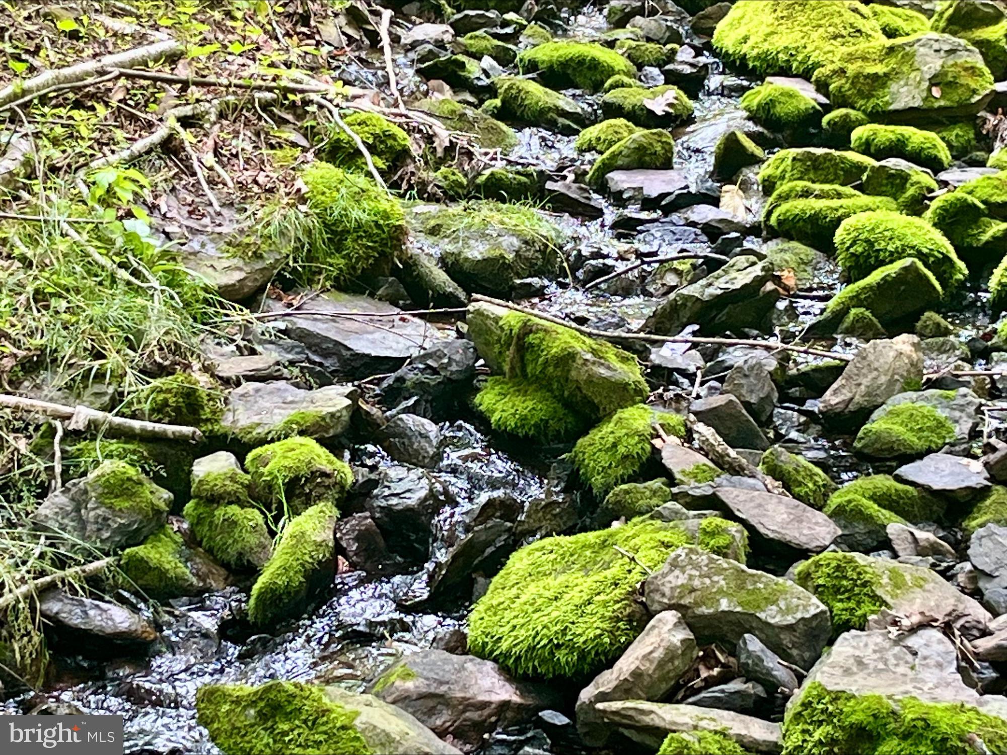 SKYLINE LAKES - Land