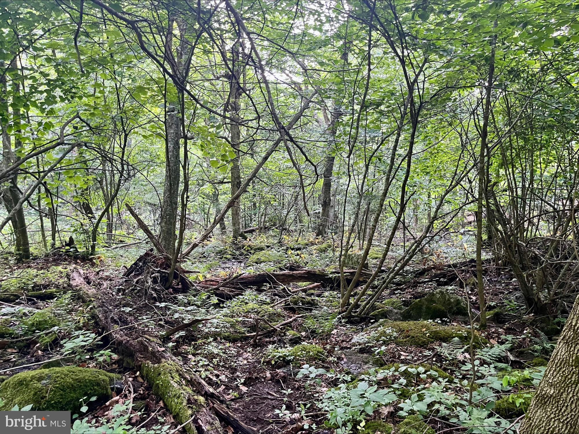 SKYLINE LAKES - Land