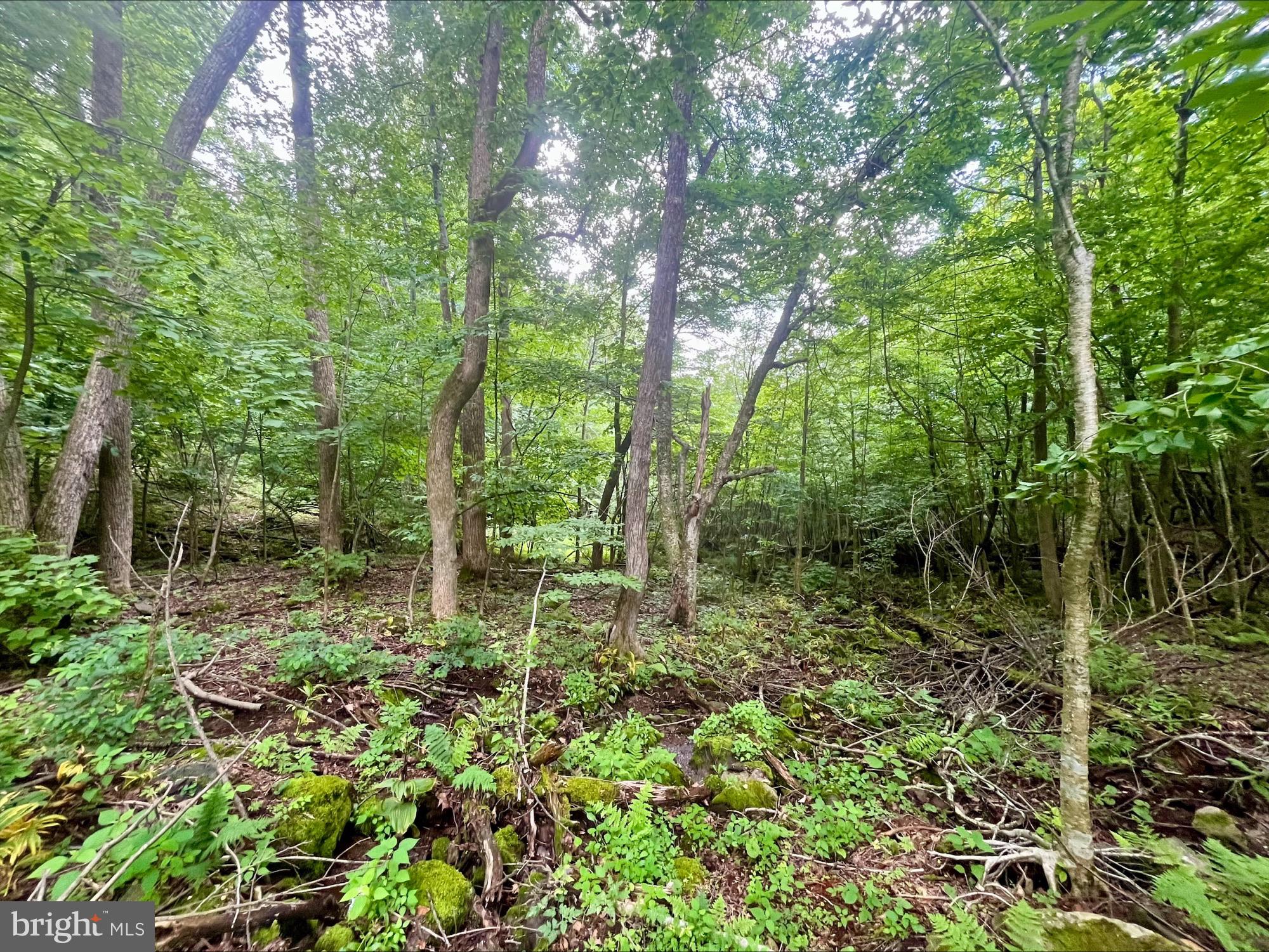 SKYLINE LAKES - Land