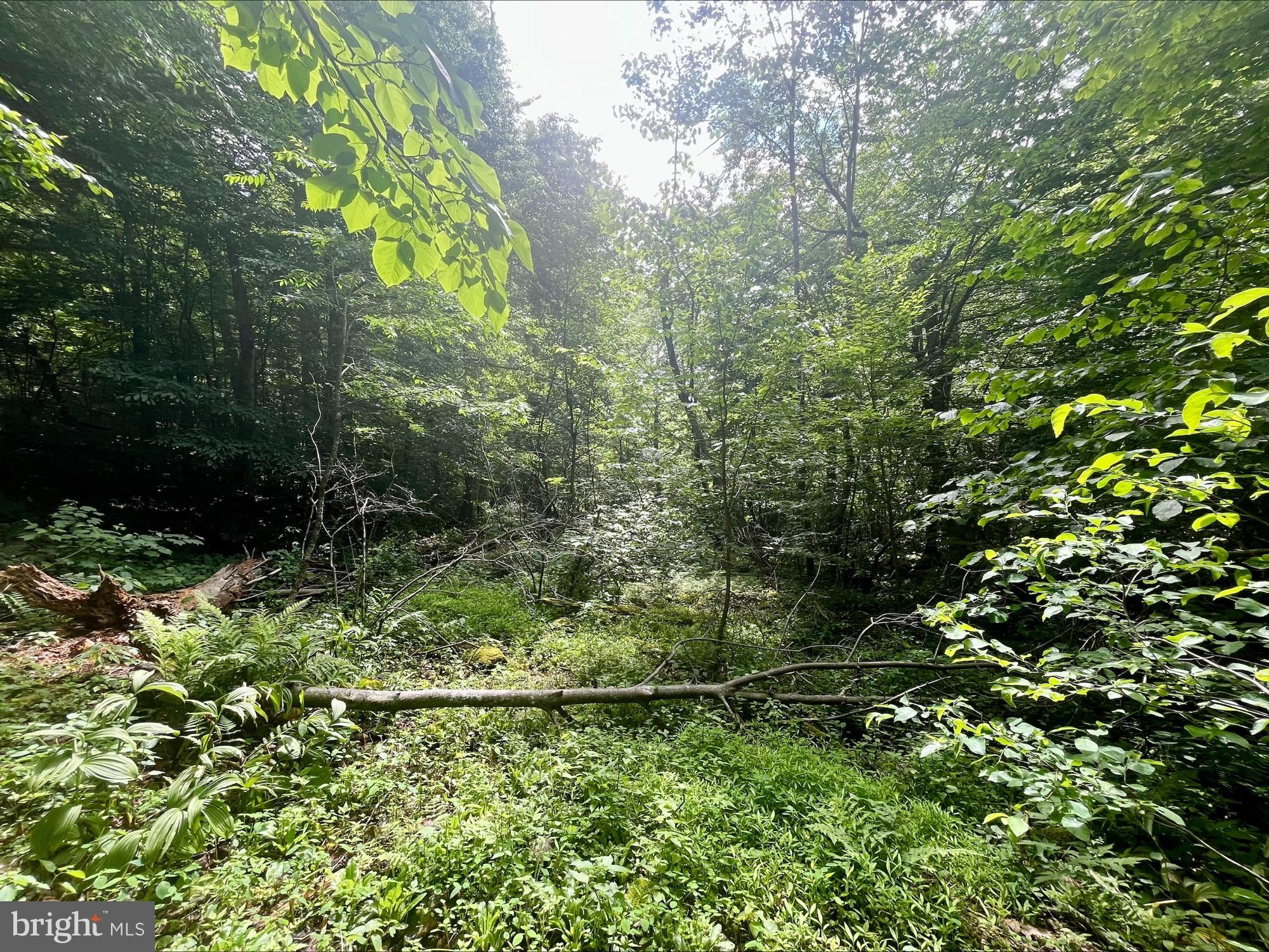 SKYLINE LAKES - Land