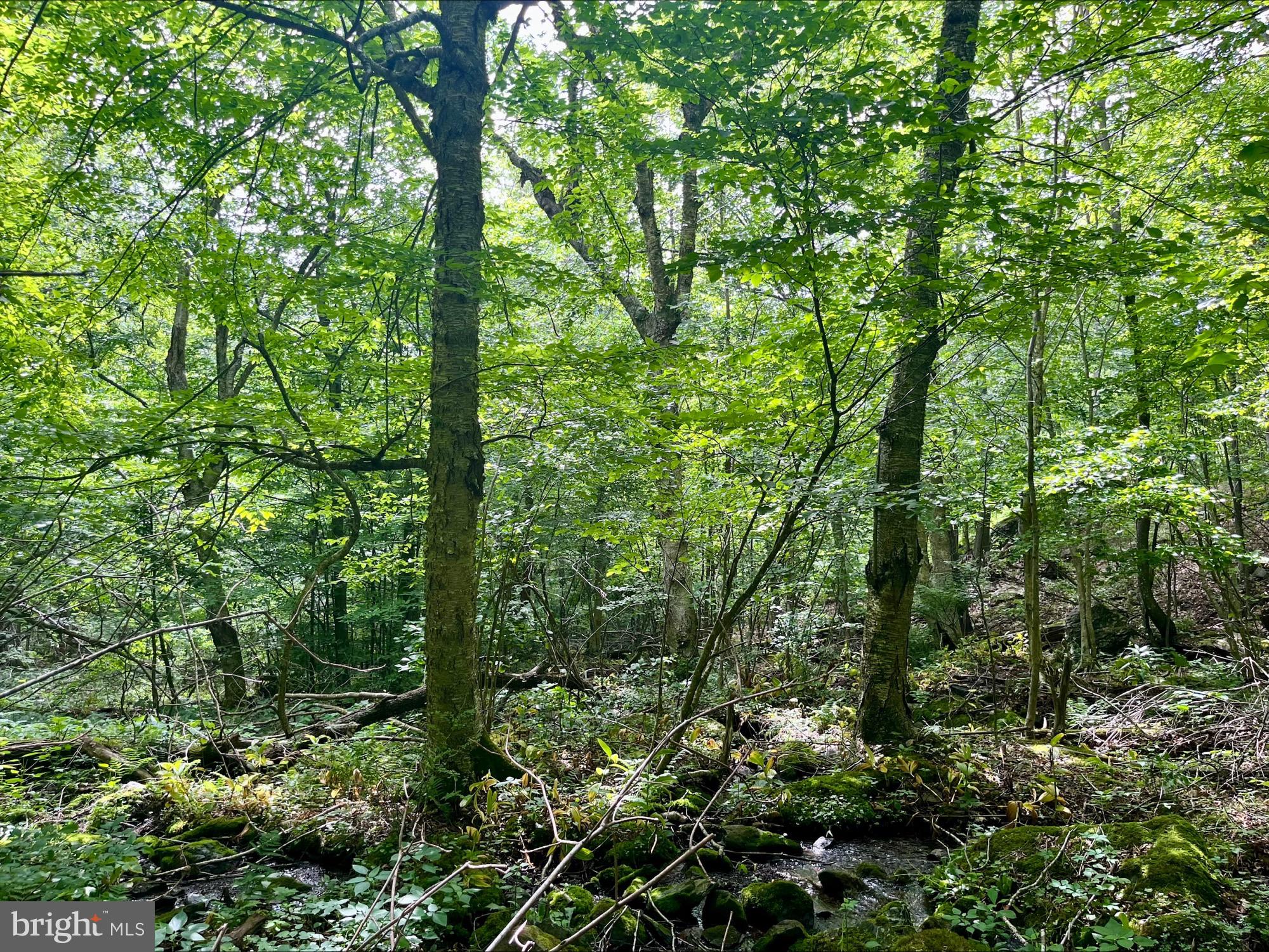 SKYLINE LAKES - Land