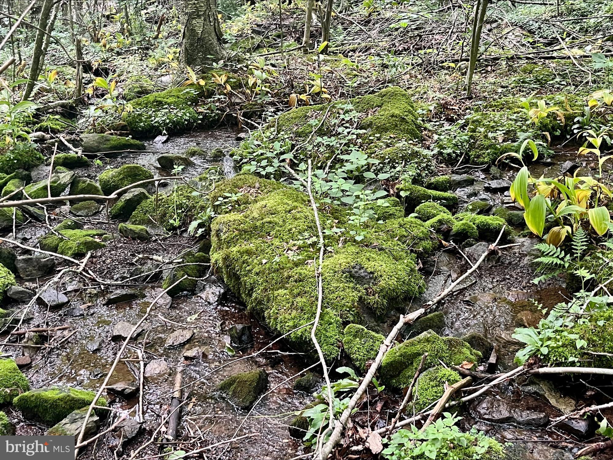SKYLINE LAKES - Land