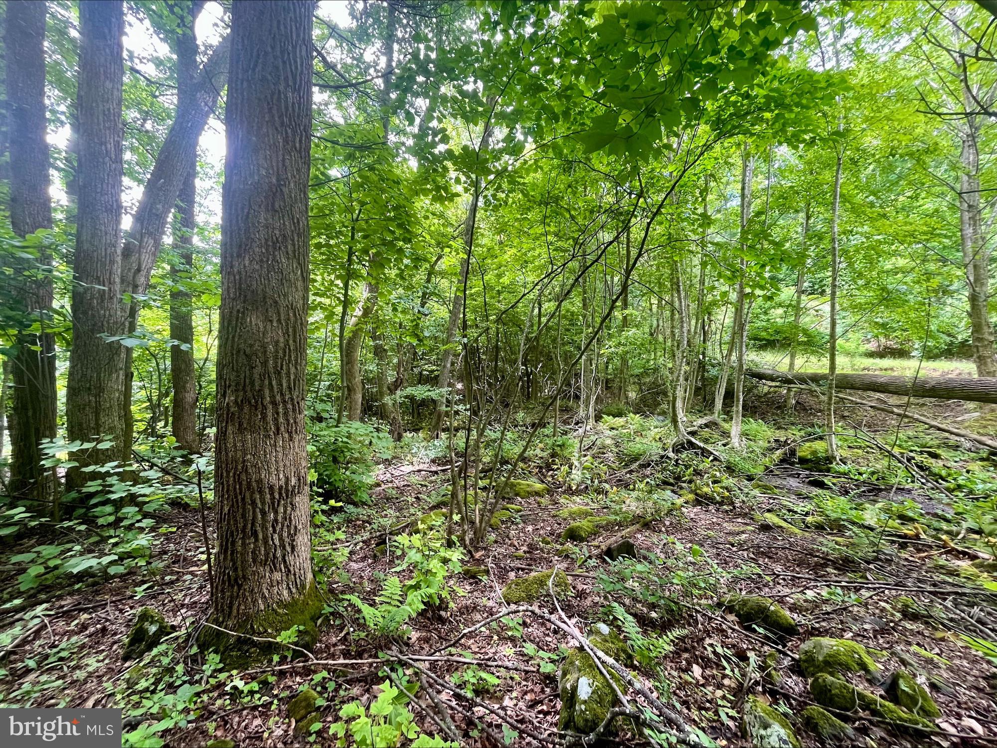 SKYLINE LAKES - Land