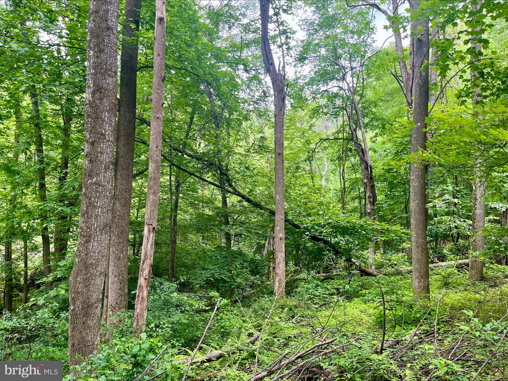 SKYLINE LAKES - Land