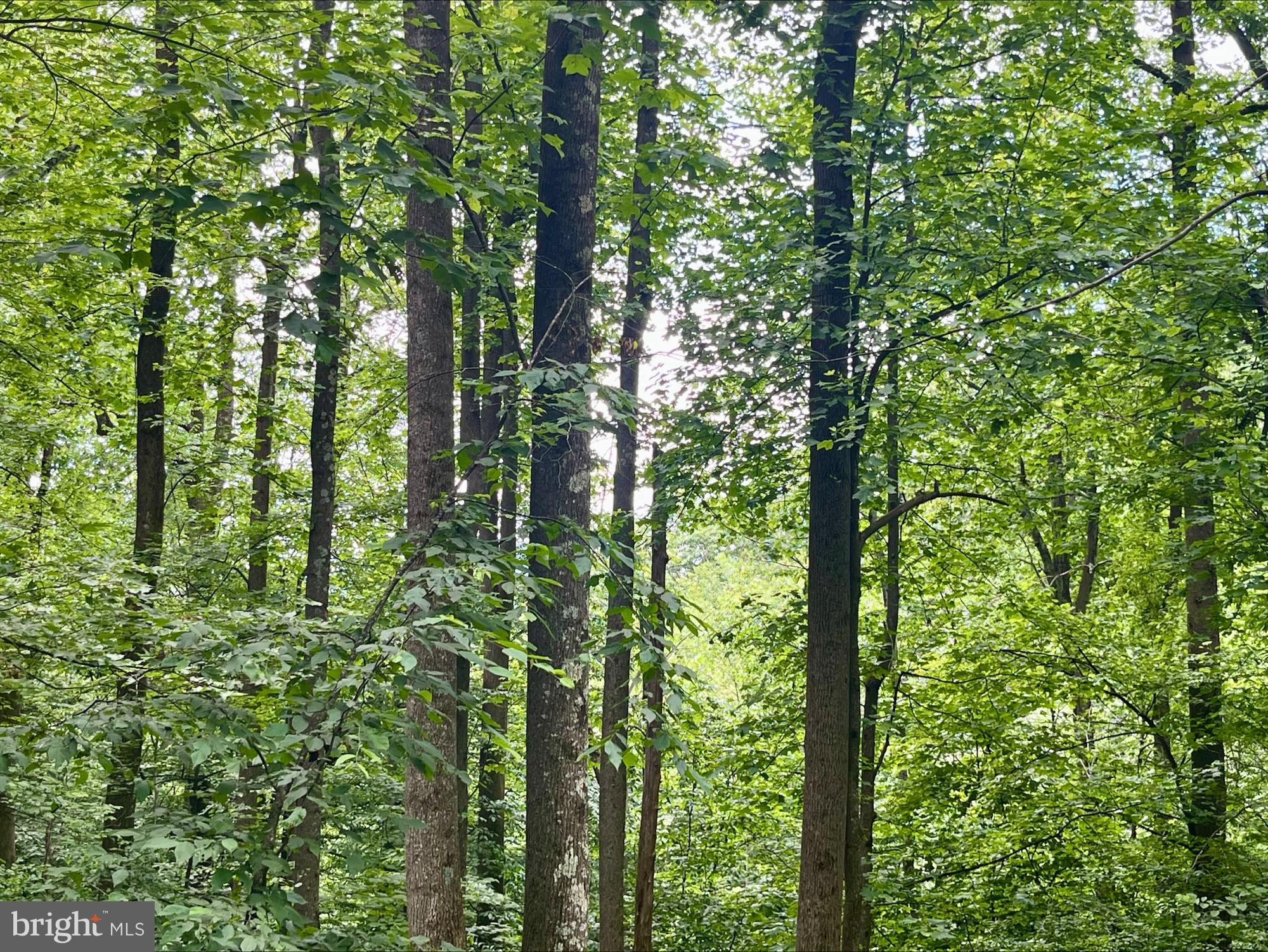 SKYLINE LAKES - Land