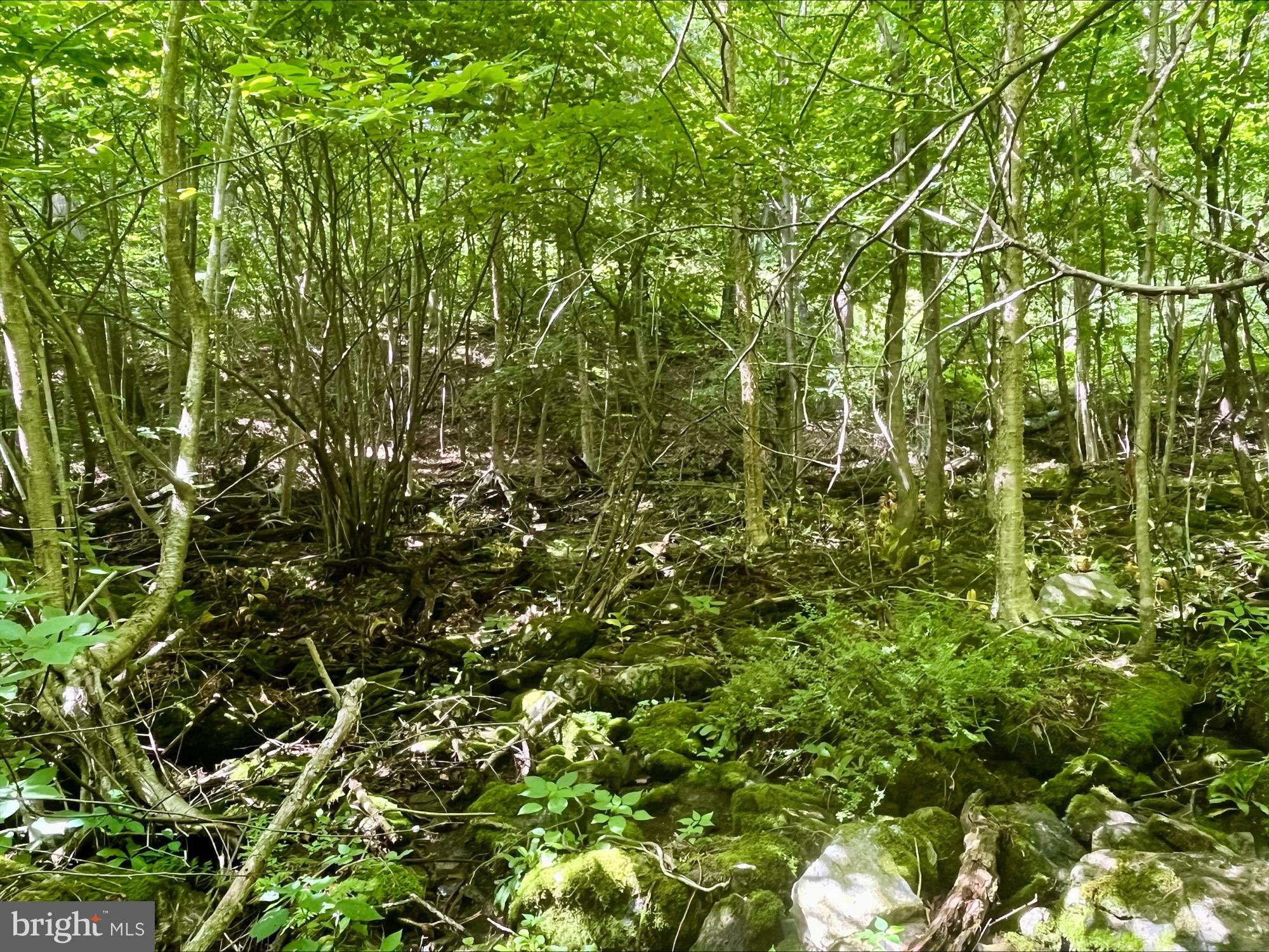 SKYLINE LAKES - Land