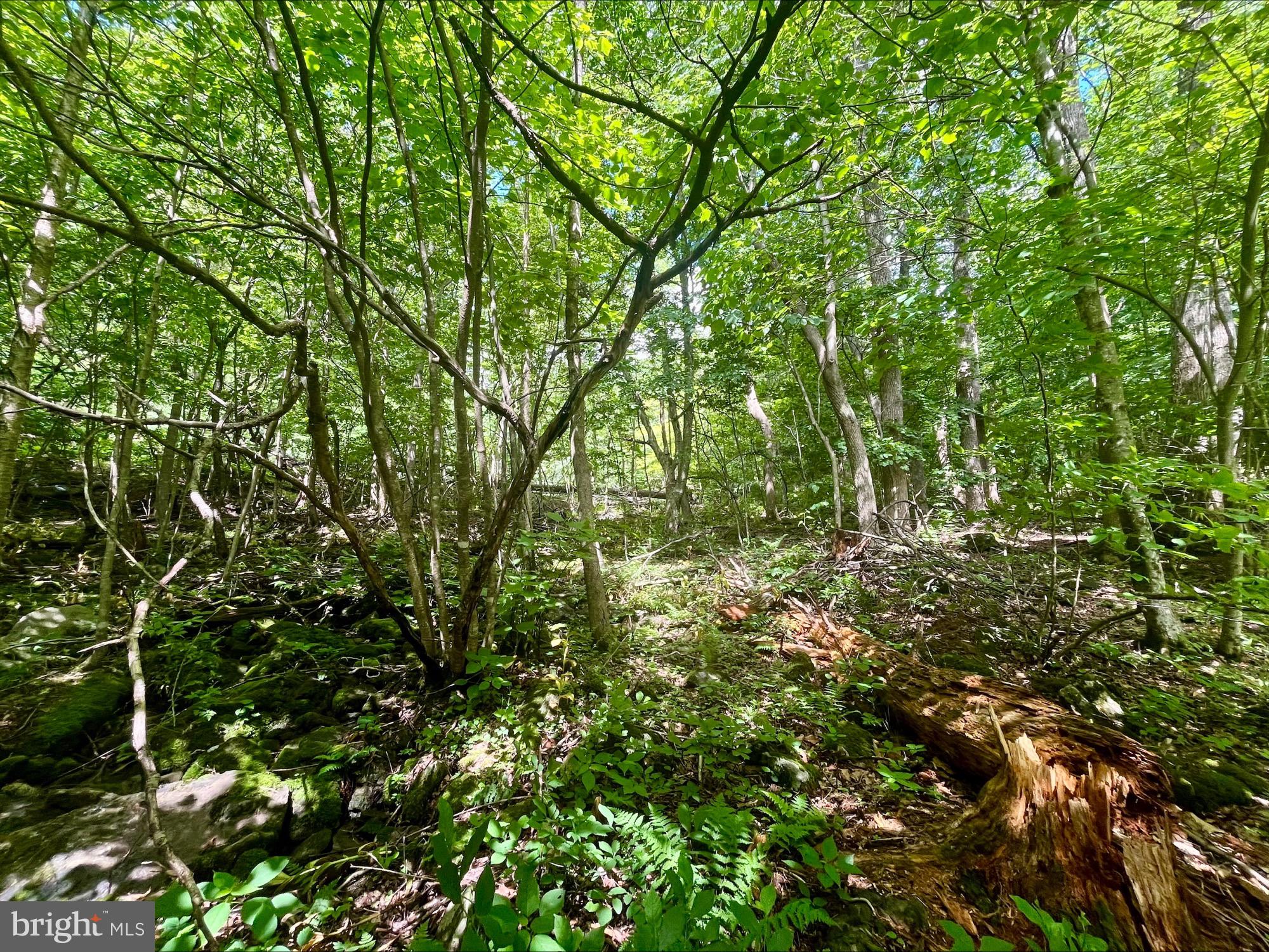 SKYLINE LAKES - Land