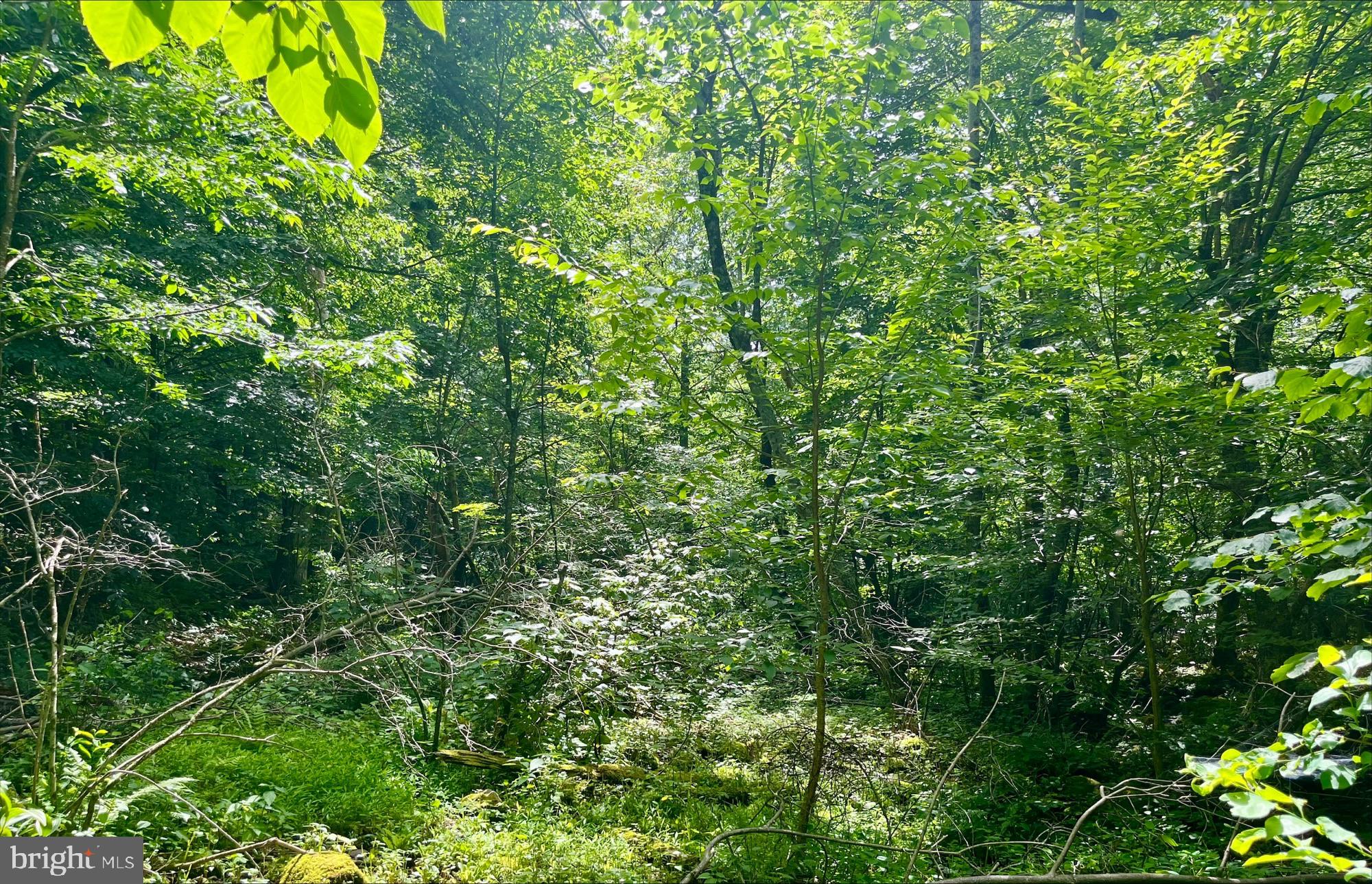 SKYLINE LAKES - Land