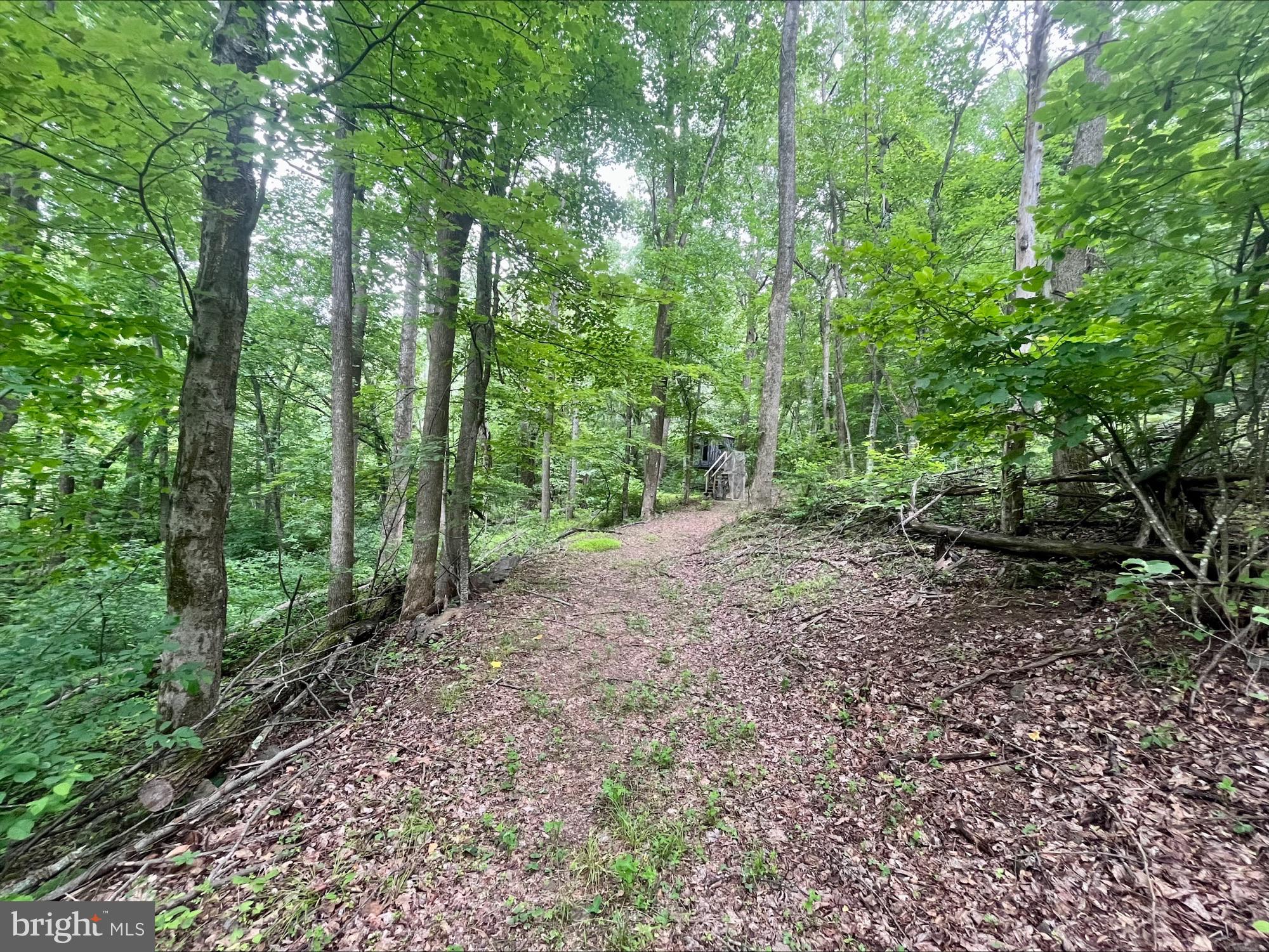 SKYLINE LAKES - Land