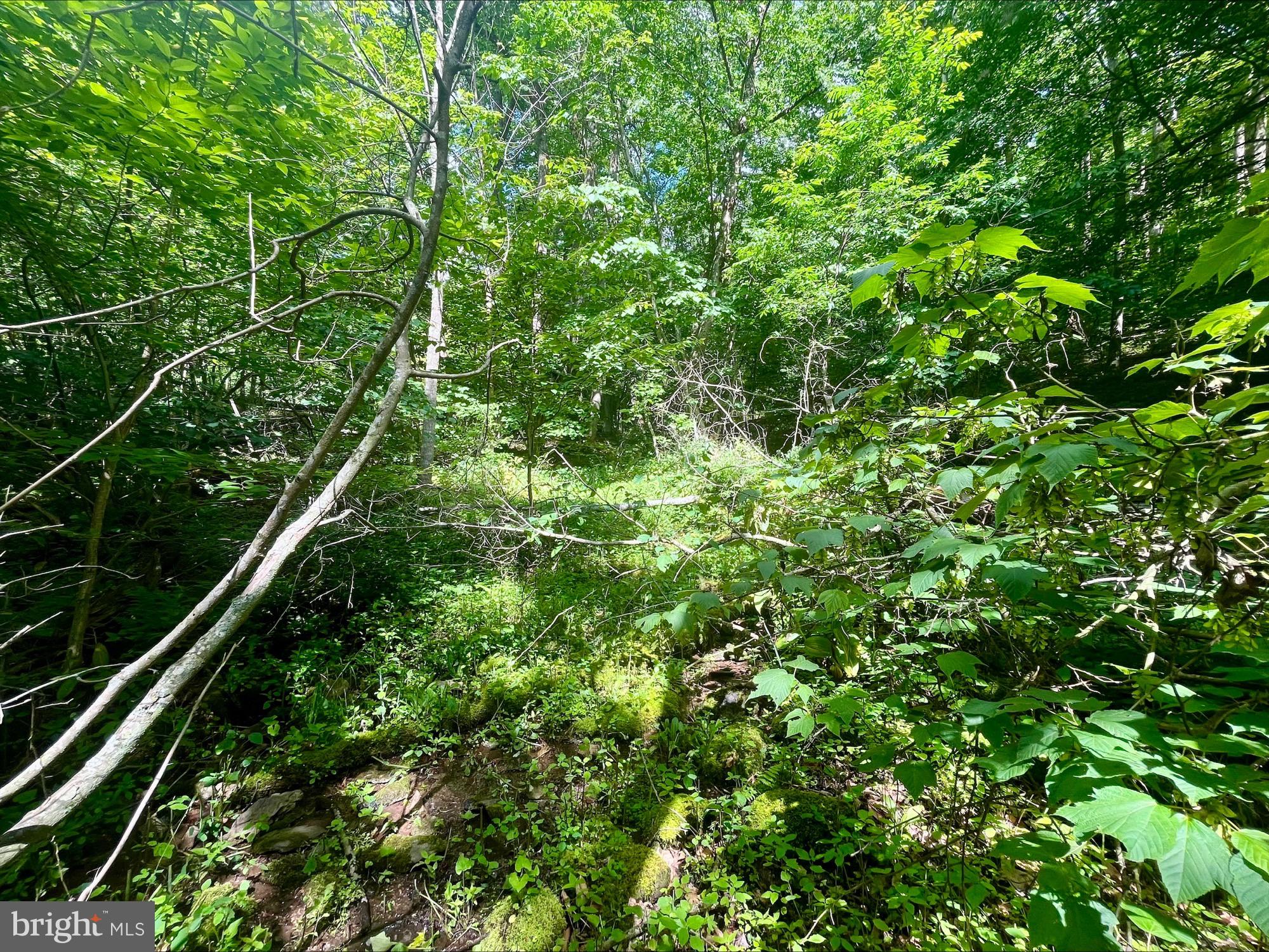 SKYLINE LAKES - Land