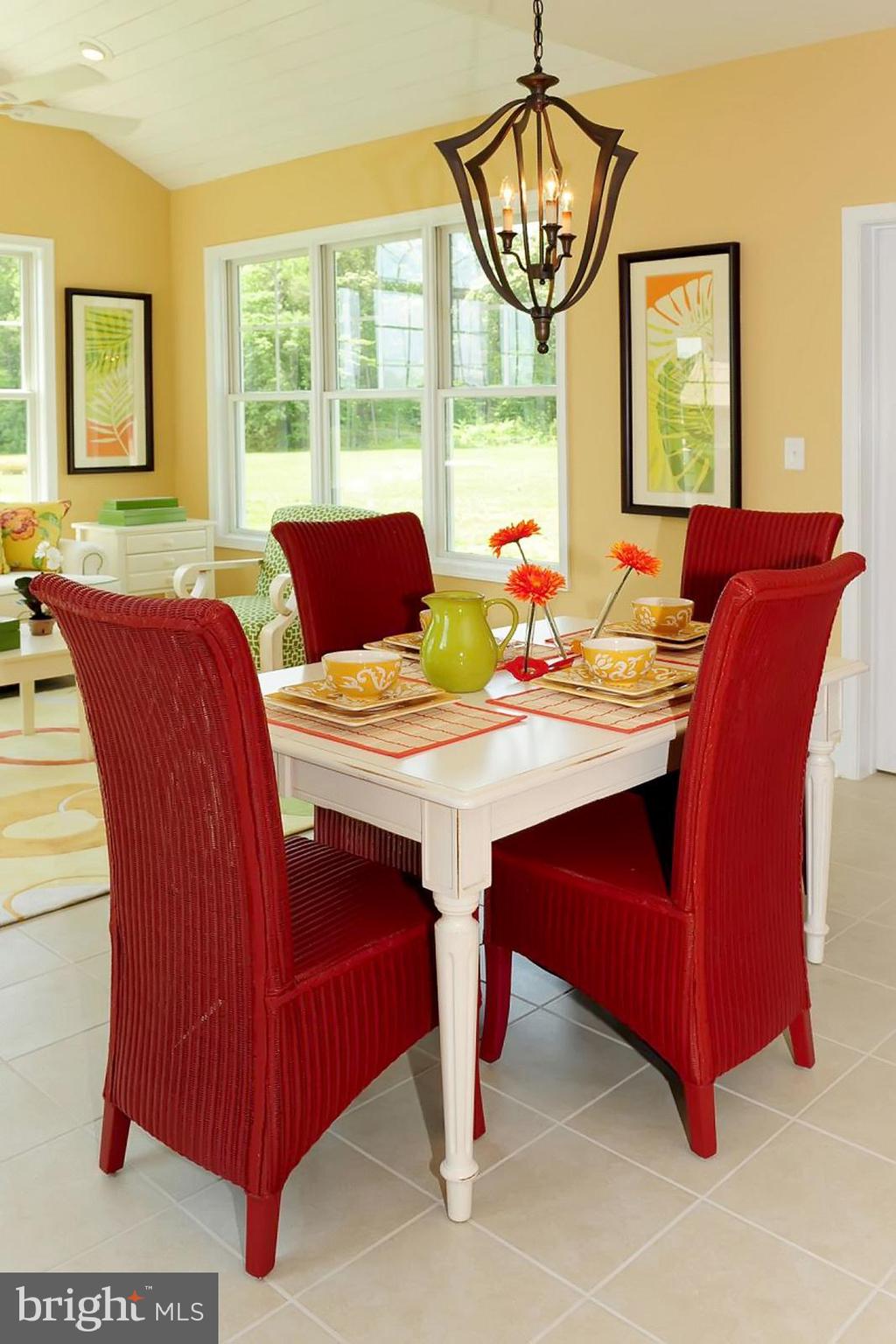 29516 TREE SWALLOW DRIVE