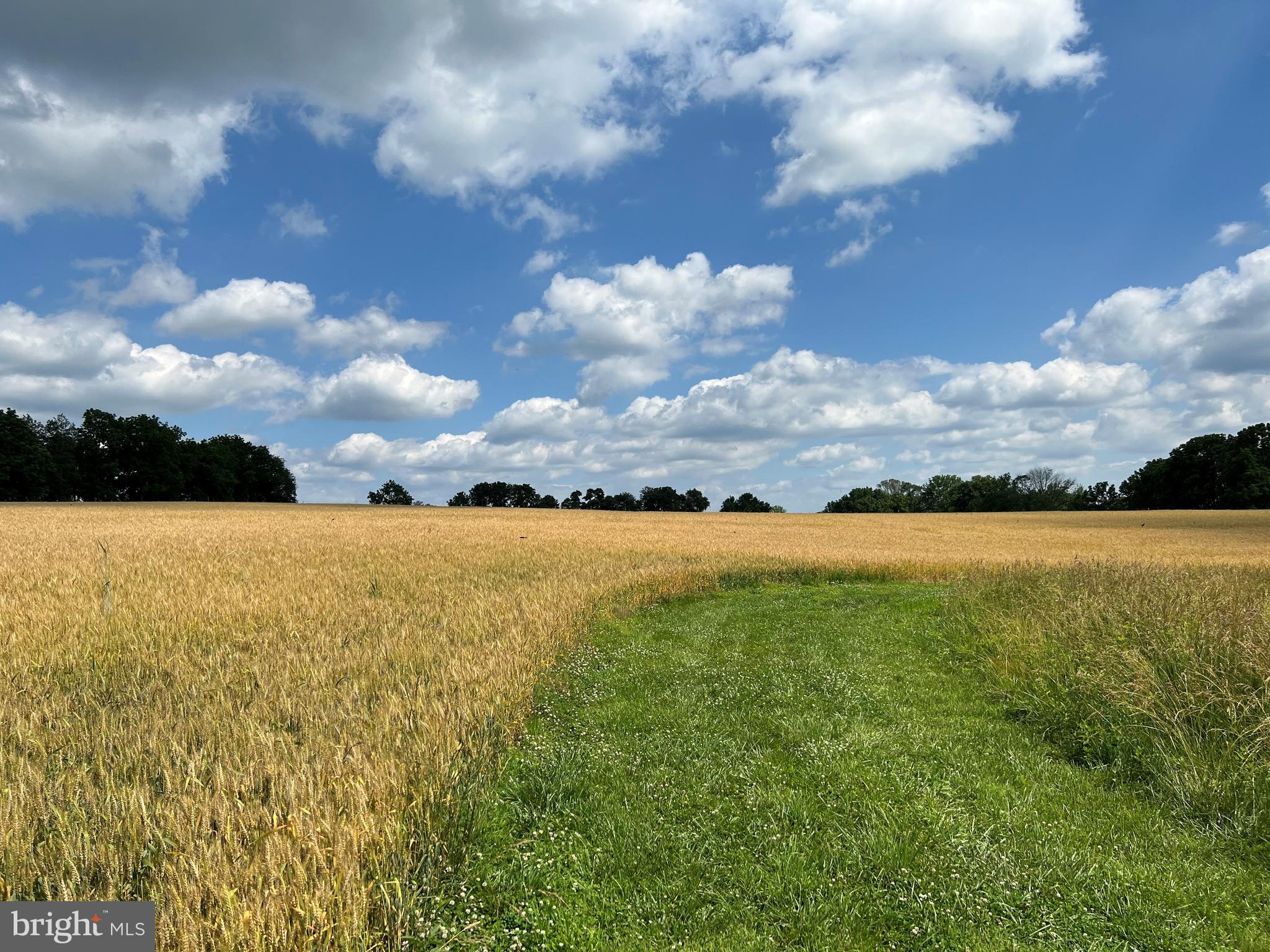 315 STONEY KNOLL LANE LOT 2