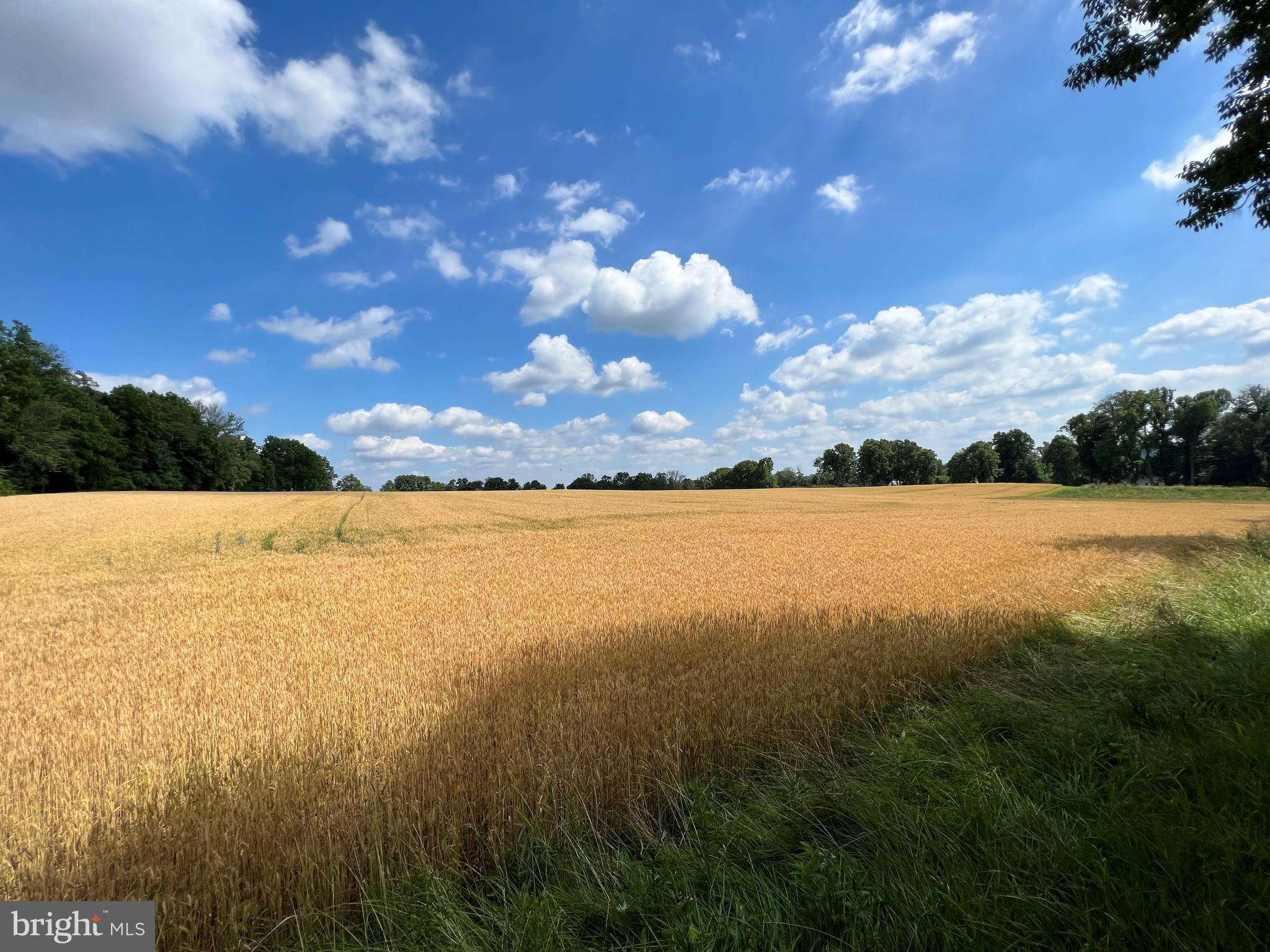 315 STONEY KNOLL LANE LOT 2